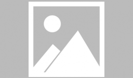 牛的视频,温馨农场生活剪影